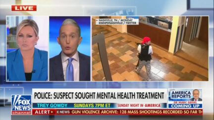 Trey Gowdy